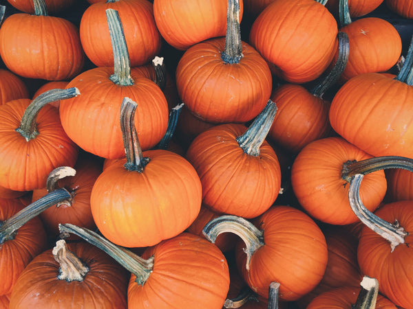 4 Ways to Entertain Littles in The Fall